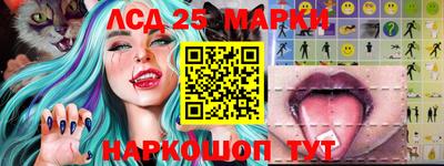 индика Чебаркуль