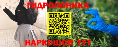 индика Чебаркуль