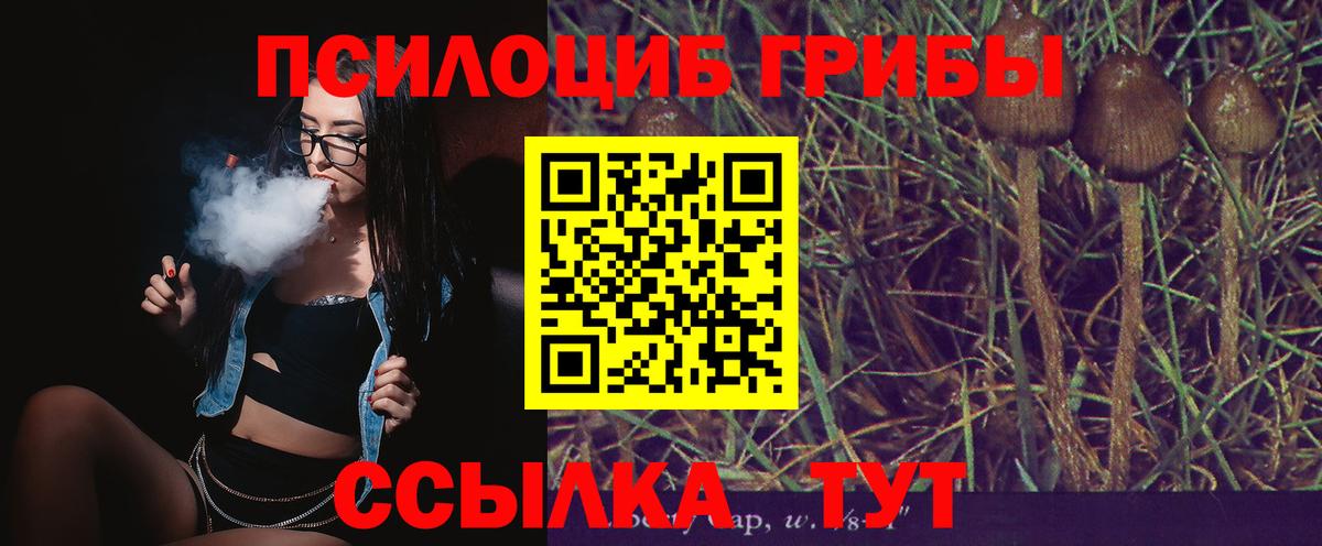 Псилоцибиновые грибы прущие грибы  Вход с VPN  Псилоцибиновые грибы MAGIC MUSHROOMS  Вышний Волочёк 