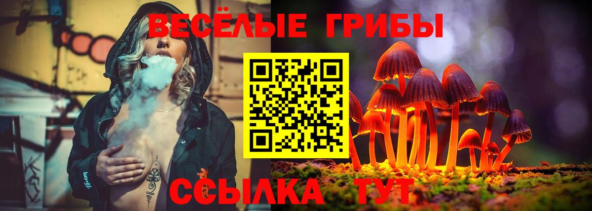 Галлюциногенные грибы мицелий Вышний Волочёк